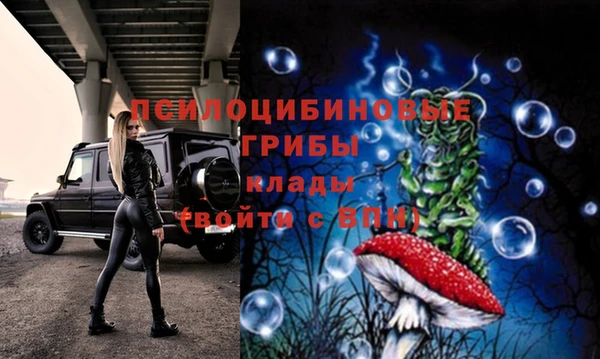 мет Алексин