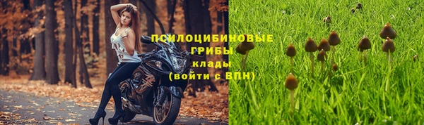 мет Алексин