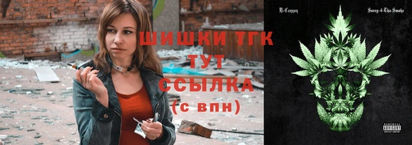 мет Алексин