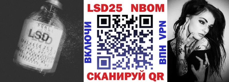 где купить наркоту  Приозерск  ЛСД экстази ecstasy 
