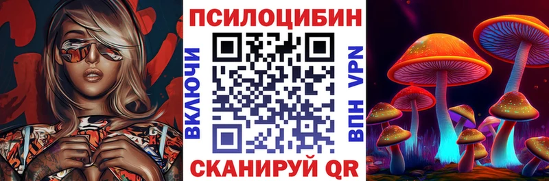 дарнет шоп  Приозерск  Псилоцибиновые грибы Magic Shrooms 